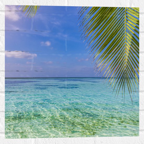 Muursticker - Palmbladen hangend voor een Heldere Oceaan - 50x50 cm Foto op Muursticker