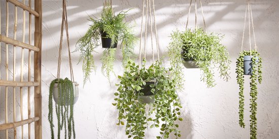 Vier groene hangplanten in potten, opgehangen aan touw voor decoratie.