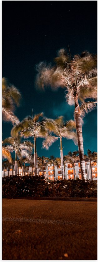 Poster Glanzend – Verlichte Palmbomen in Nacht - 40x120 cm Foto op Posterpapier met Glanzende Afwerking