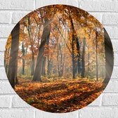 Muursticker Cirkel - Bos in de Herfst met Zonnestralen door de Bomen - 60x60 cm Foto op Muursticker