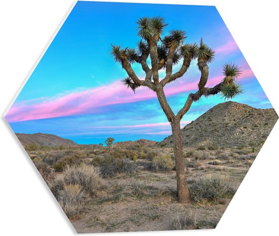 PVC Schuimplaat Hexagon - Landschap met Prachtig Roze en Blauw Gekleurde Lucht - 50x43.5 cm Foto op Hexagon (Met Ophangsysteem)