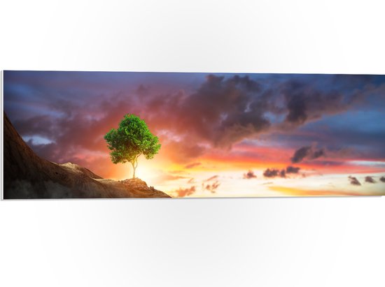 PVC Schuimplaat- Fel Groen Gekleurde Boom met Prachtige Zonsondergang op een Berglandschap - 90x30 cm Foto op PVC Schuimplaat