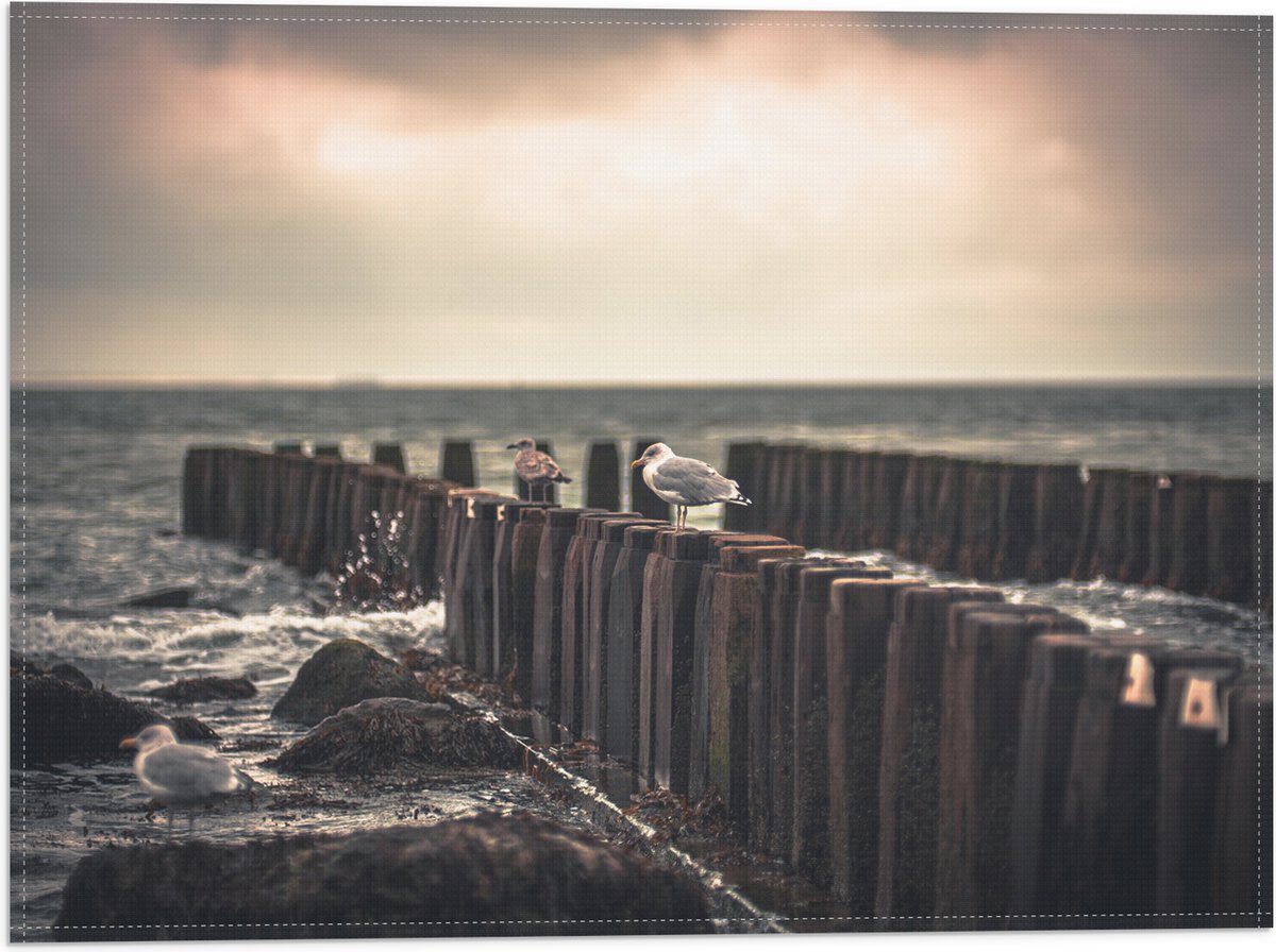 Vlag - Meeuwen op Houten Palen bij de Zee - 40x30 cm Foto op Polyester Vlag