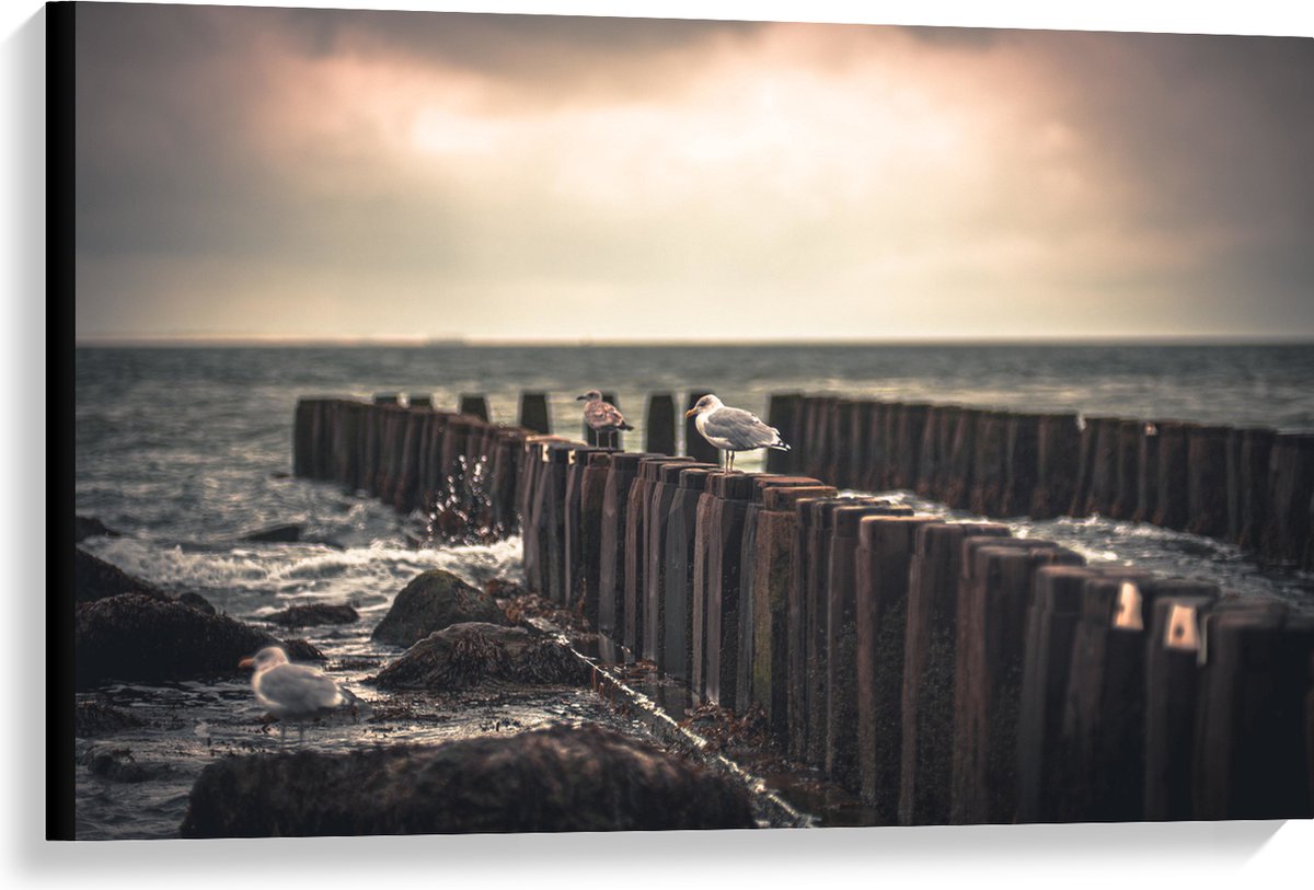 Canvas - Meeuwen op Houten Palen bij de Zee - 90x60 cm Foto op Canvas Schilderij (Wanddeco