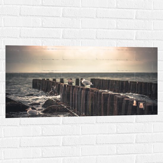 WallClassics - Muursticker - Meeuwen op Houten Palen bij de Zee - 100x50 cm Foto op Muursticker