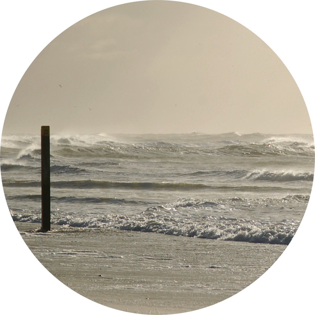 Texelphotos.nl - Muurcirkel -Texel Golven Noordzee – Strandpaal - Wanddecoratie rond - Wandcirkel – Winter - Duinen - Strand - Natuur - Noordzee - Forex – lichtgewicht PVC - 60x60 cm - Binnen en Buiten