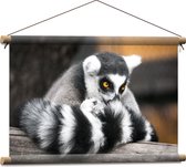 Textielposter - Ringstaart Maki Aap met Snuit in Staart op Balk - 60x40 cm Foto op Textiel