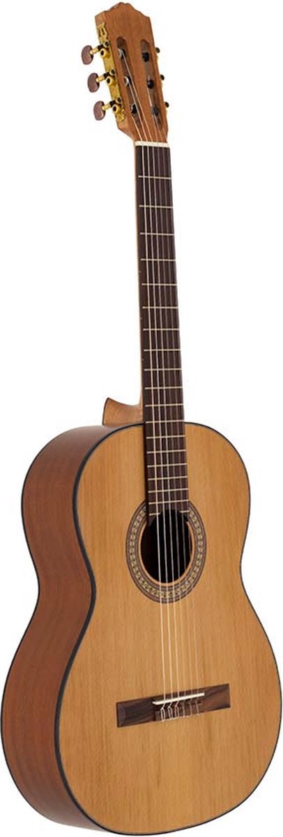 Klassieke gitaar 4/4 Salvador Cortez Solid Top Artist Series CC-20