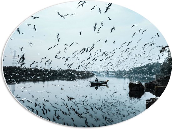 WallClassics - PVC Schuimplaat Ovaal - Zwerm Vogels boven Rivier - 56x42 cm Foto op Ovaal (Met Ophangsysteem)