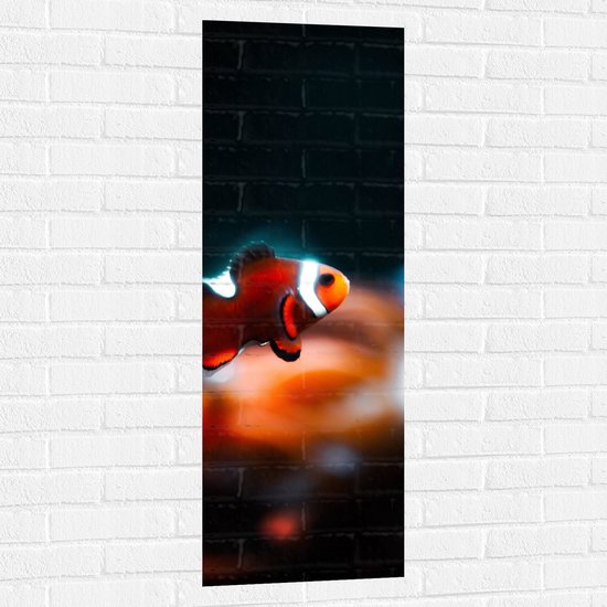 WallClassics - Muursticker - Nemo Vis - 40x120 cm Foto op Muursticker