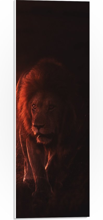 WallClassics - Panneau en mousse PVC - Lion rampant dans un ciel orange - Photo 20x60 cm sur panneau en mousse PVC (avec système de suspension)