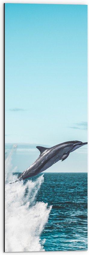 WallClassics - Dibond - Omhoogspringende Dolfijn in de Zee - 30x90 cm Foto op Aluminium (Met Ophangsysteem)