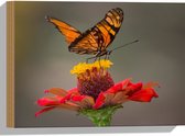Hout - Oranje Vlinder op een Rode Bloem - 40x30 cm - 9 mm dik - Foto op Hout (Met Ophangsysteem)