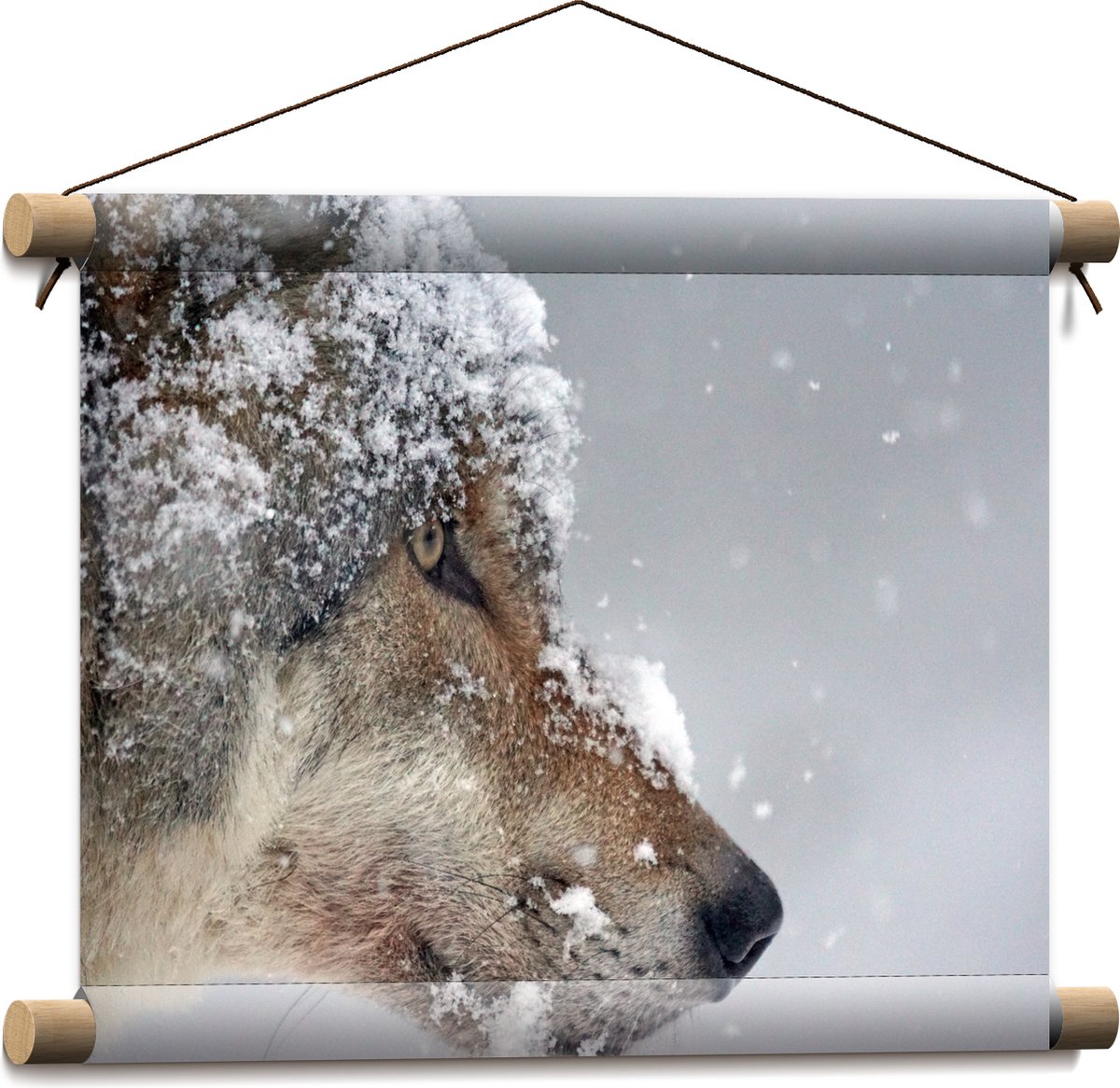 Textielposter - Vlokken Sneeuw op Kop van Geconcentreerde Wolf - 40x30 cm Foto op Textiel