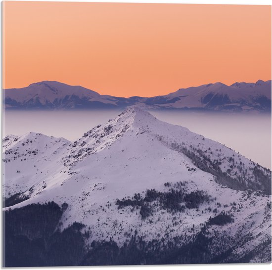 WallClassics - Acrylglas - Piek van een Berg met Sneeuw - 50x50 cm Foto op Acrylglas (Wanddecoratie op Acrylaat)