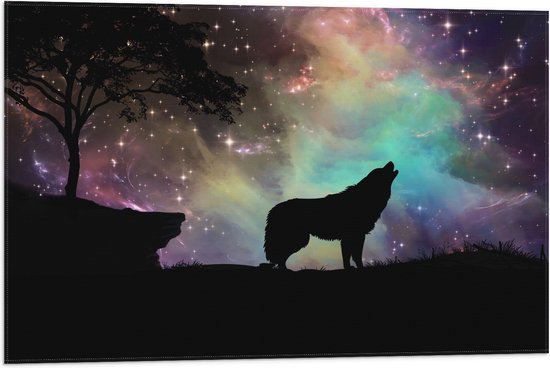 WallClassics - Vlag - Silhouette van een Wolf bij Sterrenhemel - 75x50 cm Foto op Polyester Vlag