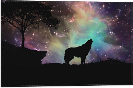 WallClassics - Vlag - Silhouette van een Wolf bij Sterrenhemel - 60x40 cm Foto op Polyester Vlag