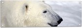 Tuinposter – Blije IJsbeer in de Sneeuw - 90x30 cm Foto op Tuinposter (wanddecoratie voor buiten en binnen)