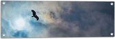 WallClassics - Tuinposter – Vliegende Roofvogel in de Lucht - 90x30 cm Foto op Tuinposter (wanddecoratie voor buiten en binnen)