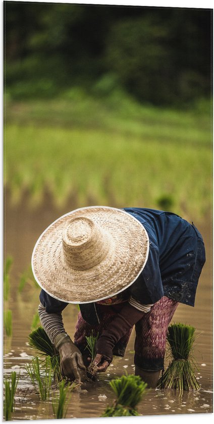 WallClassics - Drapeau - Paysan asiatique cueille du riz - Photo 50x100 cm sur drapeau polyester