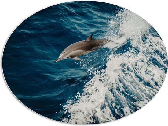 WallClassics - PVC Schuimplaat Ovaal - Springende Dolfijn in de Golvende Zee - 96x72 cm Foto op Ovaal (Met Ophangsysteem)