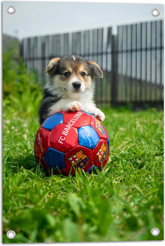 WallClassics - Tuinposter – Hondje Speelt met een Voetbal - 40x60 cm Foto op Tuinposter (wanddecoratie voor buiten en binnen)