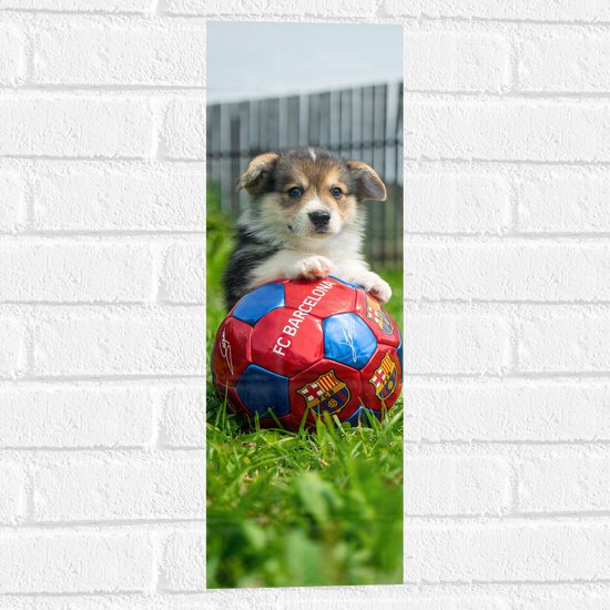 WallClassics - Muursticker - Hondje Speelt met een Voetbal - 20x60 cm Foto op Muursticker