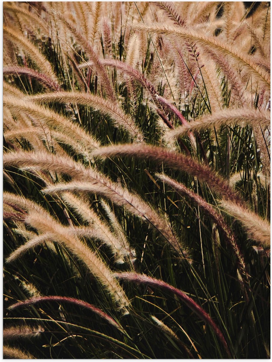 Poster Glanzend – Sierlijke Fontein Gras - 30x40 cm Foto op Posterpapier met Glanzende Afw