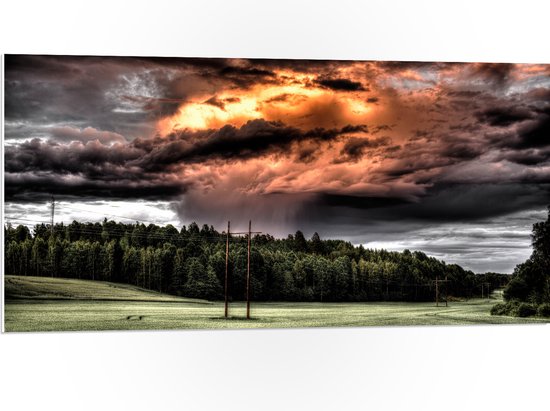 WallClassics - PVC Schuimplaat- Zon achter Regenwolken boven Bos - 100x50 cm Foto op PVC Schuimplaat