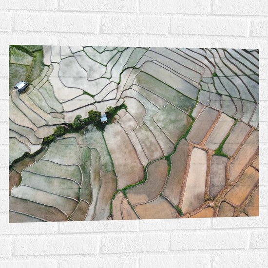 Muursticker - Bovenaanzicht van de Rijstvelden van Vietnam - 80x60 cm Foto op Muursticker