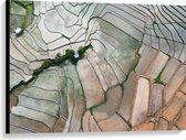 Canvas - Bovenaanzicht van de Rijstvelden van Vietnam - 100x75 cm Foto op Canvas Schilderij (Wanddecoratie op Canvas)