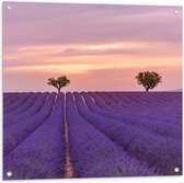 Tuinposter – Duo Bomen in Paars Lavendelveld onder Zachtkleurige Lucht - 80x80 cm Foto op Tuinposter (wanddecoratie voor buiten en binnen)