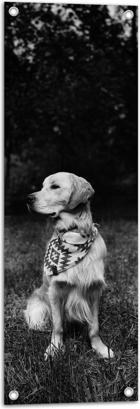 Tuinposter – Zittende Hond in Zwart-Wit - 30x90 cm Foto op Tuinposter (wanddecoratie voor buiten en binnen)