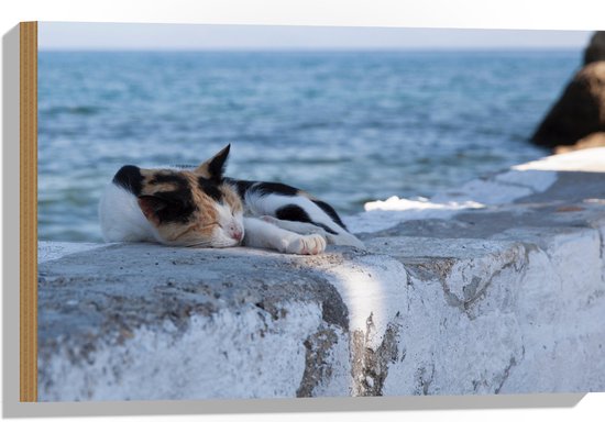 Hout - Kat aan het Slapen op Muurtje aan de Zee - 60x40 cm - 9 mm dik - Foto op Hout (Met Ophangsysteem)