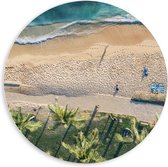 PVC Schuimplaat Muurcirkel - Bovenaanzicht van Palmbomen op Grasveld aan het Strand bij Tropische Zee - 60x60 cm Foto op Muurcirkel (met ophangsysteem)