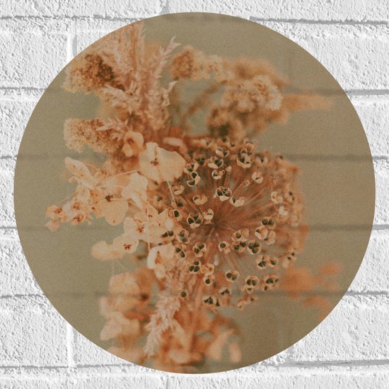 Cirkelvormige muursticker met close-up van droge, oranje bloemen met ronde zaaddozen.