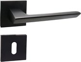 deurbeslag - house accessories Door handle stainless steel / voor toilets/badkamerdeuren | deurklink | deurkruk