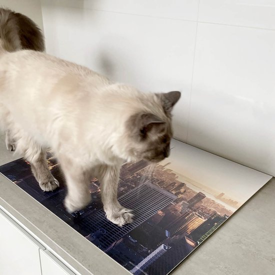 Protection induction 81x52 - plaque de recouvrement tapis induction - Dietrix Protection plaque de cuisson - DELUXE - Automne - Gourdes Witte