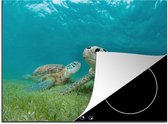 KitchenYeah® Inductie beschermer 59x52 cm - Twee schildpadden op de bodem van de zee eten gras voor de kust van Mexico - Kookplaataccessoires - Afdekplaat voor kookplaat - Inductiebeschermer - Inductiemat - Inductieplaat mat