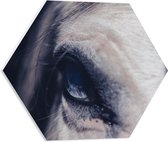 WallClassics - PVC Schuimplaat Hexagon - Close up van Oog van Paard - 50x43.5 cm Foto op Hexagon (Met Ophangsysteem)