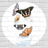 Muursticker Cirkel - Verschillende Soorten en Kleuren Vlinders op Witte Achtergrond met Schaduw - 70x70 cm Foto op Muursticker