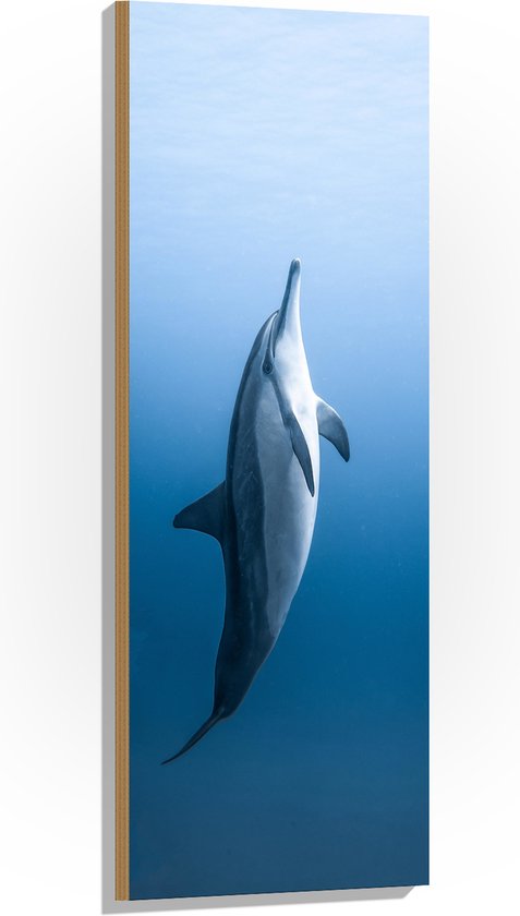 Hout - Verticaal Zwemmende Dolfijn - 40x120 cm - 9 mm dik - Foto op Hout (Met Ophangsysteem)