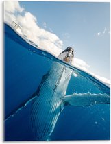 Acrylglas - Zwaaiende Walvis aan het Wateroppervlak - 30x40 cm Foto op Acrylglas (Wanddecoratie op Acrylaat)