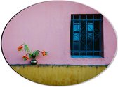 Dibond Ovaal - Vaasje met Bloemen op Muur van Roze Woning - 40x30 cm Foto op Ovaal (Met Ophangsysteem)