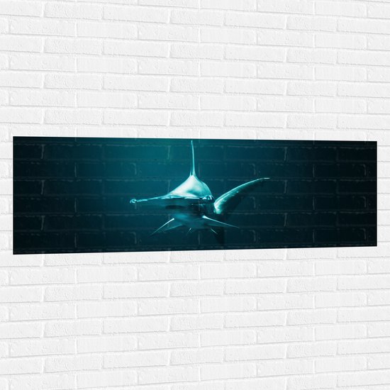 WallClassics - Muursticker - Hamerhaai onder in het Water - 150x50 cm Foto op Muursticker