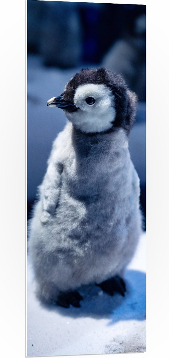 PVC Schuimplaat- Baby Pinguïn in de Sneeuw - 40x120 cm Foto op PVC Schuimplaat
