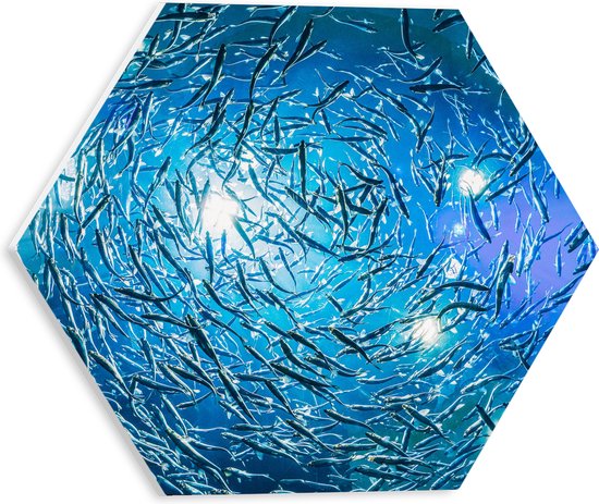 PVC Schuimplaat Hexagon - School Vissen in een Groot Aquarium - 30x26.1 cm Foto op Hexagon (Met Ophangsysteem)