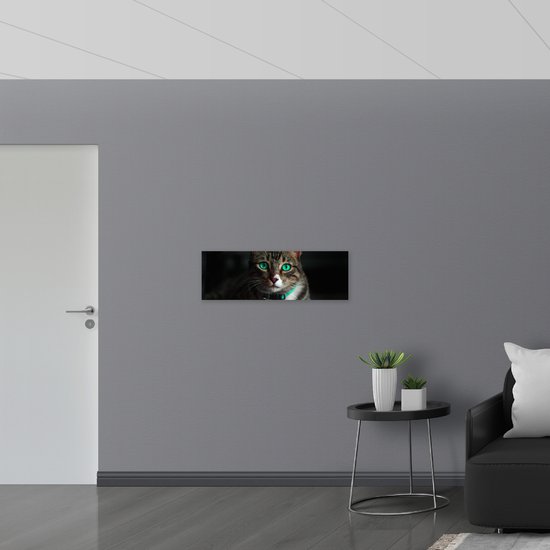 PVC Schuimplaat- Kat met Felle Groene Ogen - 90x30 cm Foto op PVC Schuimplaat