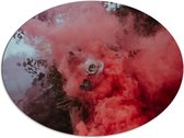 Dibond Ovaal - Roze Roos Verdwijnend in Rode Rook - 96x72 cm Foto op Ovaal (Met Ophangsysteem)