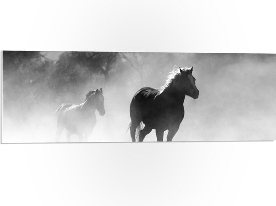 WallClassics - PVC Schuimplaat - Galoperende Paarden bij het Bos (Zwart-wit) - 90x30 cm Foto op PVC Schuimplaat (Met Ophangsysteem)